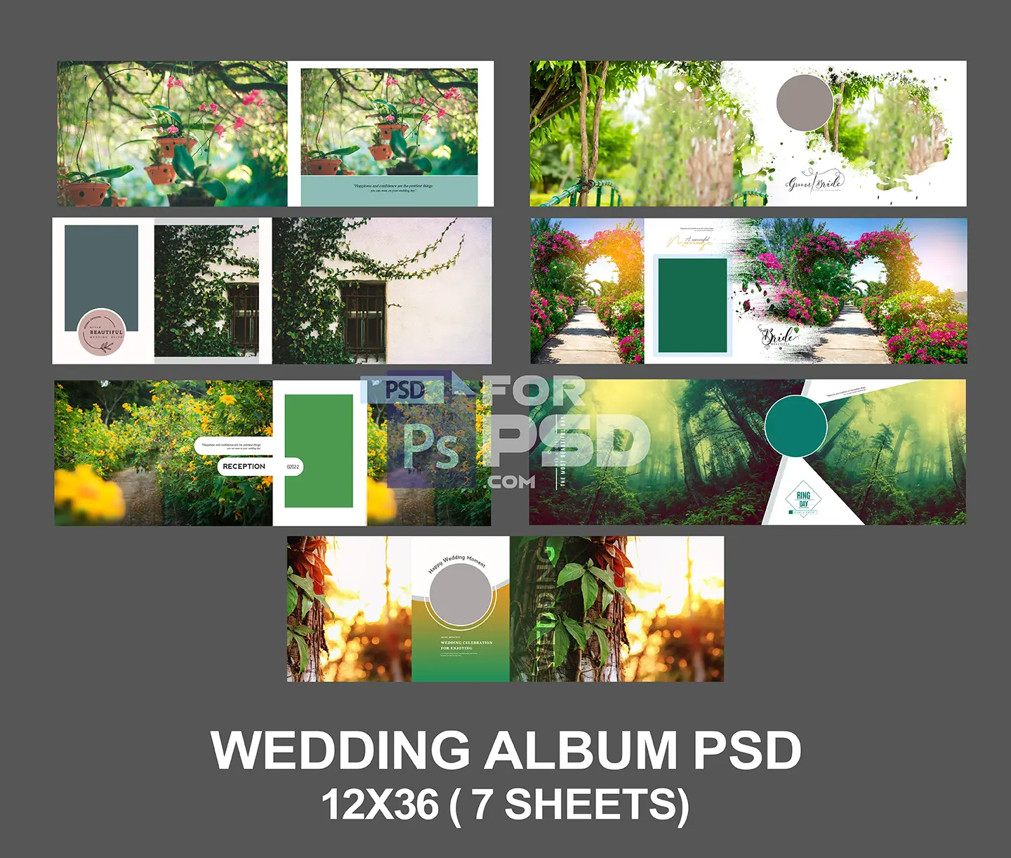 Image Preview